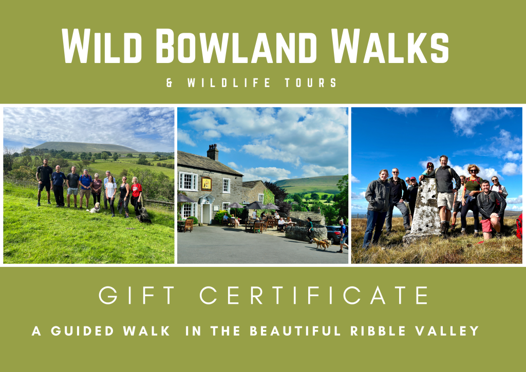 Wild Bowland Walks Gift Voucher